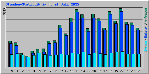 Stunden-Statistik im Monat Juli 2025