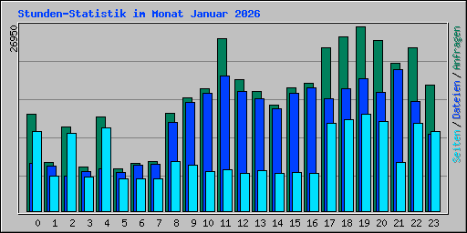 Stunden-Statistik im Monat Januar 2026
