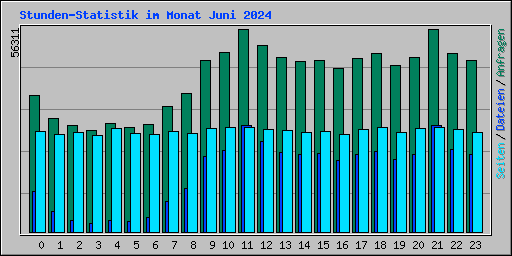 Stunden-Statistik im Monat Juni 2024